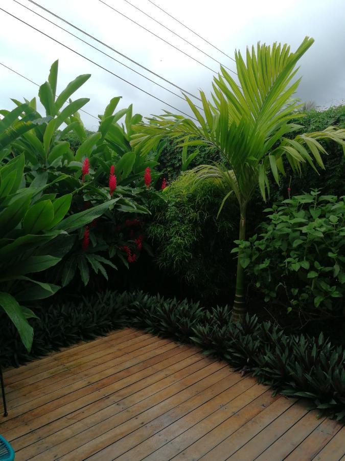 Tamandua -Home Feeling- La Fortuna Exterior photo